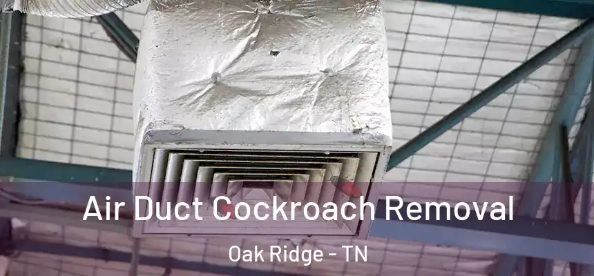  Air Duct Cockroach Removal Oak Ridge - TN