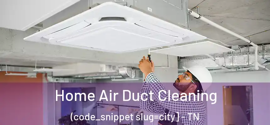  Home Air Duct Cleaning (code_snippet slug=city] - TN