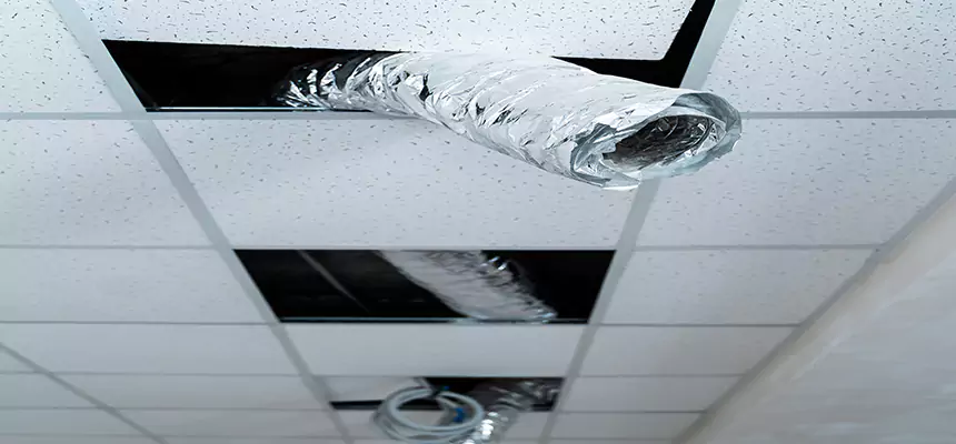 Affordable HVAC Sanitizing After Pest Removal in Oak Ridge