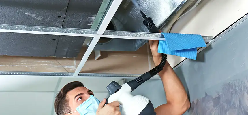 Our Air Duct Rodent Removal Services in Oak Ridge, TN