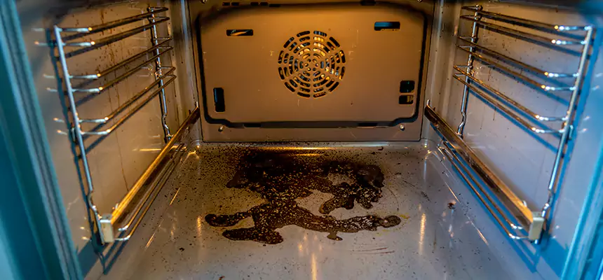 Our Dryer Vent Mold Cleaning Services in Oak Ridge, TN