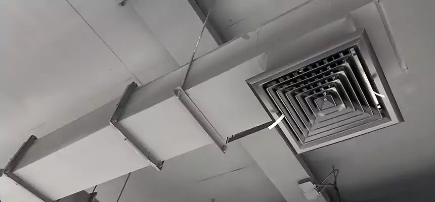 Our Rodent Droppings In Vents Services in Oak Ridge, TN