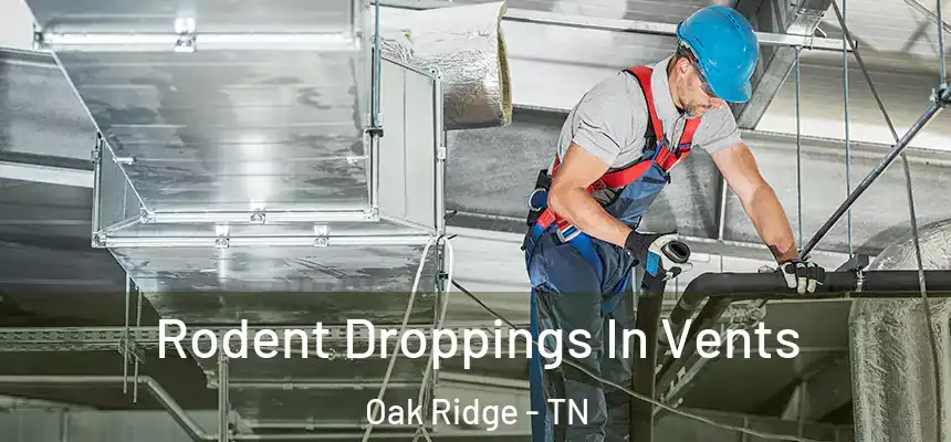  Rodent Droppings In Vents Oak Ridge - TN