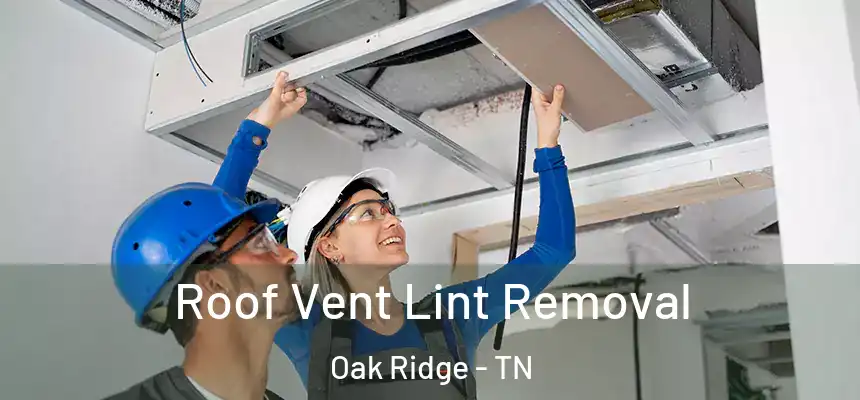  Roof Vent Lint Removal Oak Ridge - TN