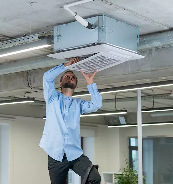 Advanced Rodent Droppings In Vents in Oak Ridge, TN