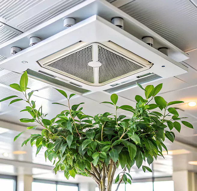 Why Homeowners & Businesses Trust Us in Oak Ridge, TN?