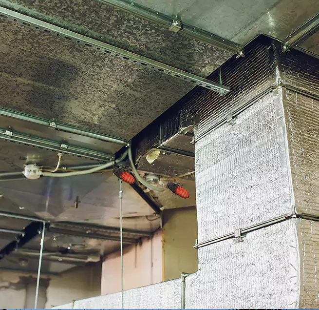 Why Homeowners & Businesses Trust Us Oak Ridge, TN?