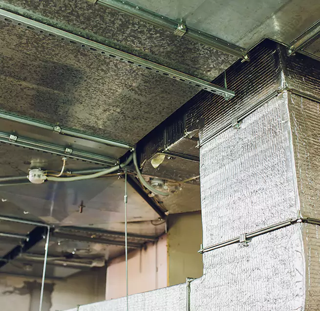 Why Homeowners & Businesses Trust Us in Oak Ridge, TN?